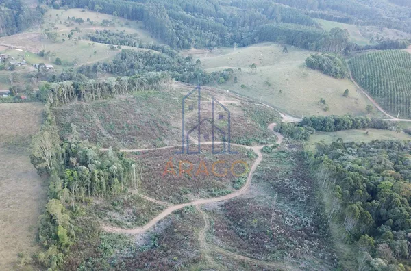Terreno para venda,  Tijucume, Campo Alegre