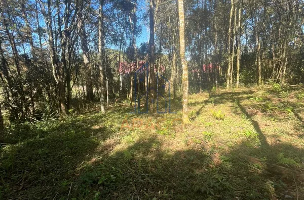 Terreno para ,  Dona Francisca, São Bento Do Sul