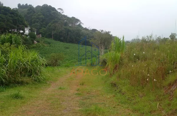Terreno para venda,  Schramm, São Bento Do Sul