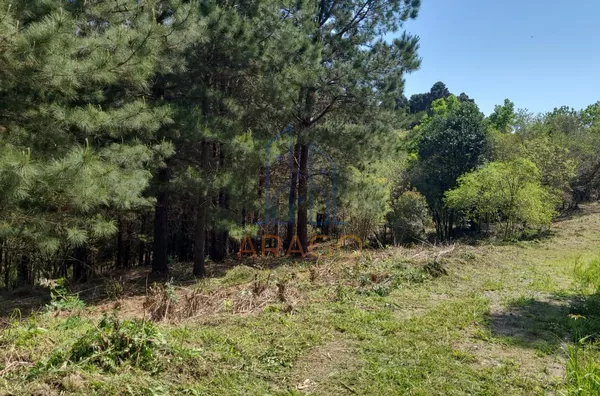 Terreno para venda,  Trigolândia, Piên