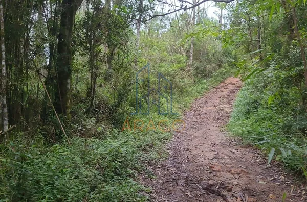 Chácara para venda,  Areias, Agudos