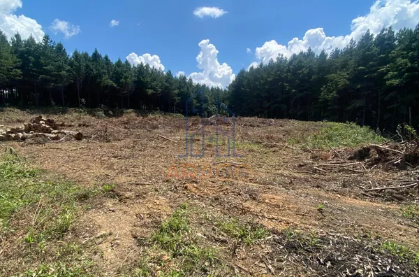 Terreno para venda,  Serra Alta, São Bento Do Sul