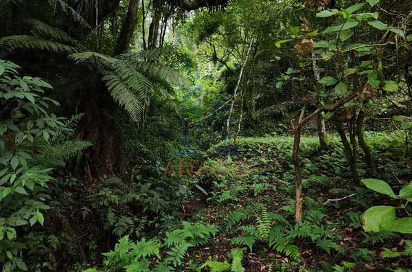 Chácara para venda,  25 De Julho, São Bento Do Sul