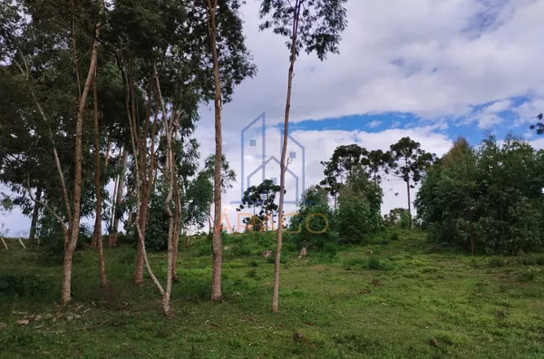 Terreno para venda,  Lençol, São Bento Do Sul