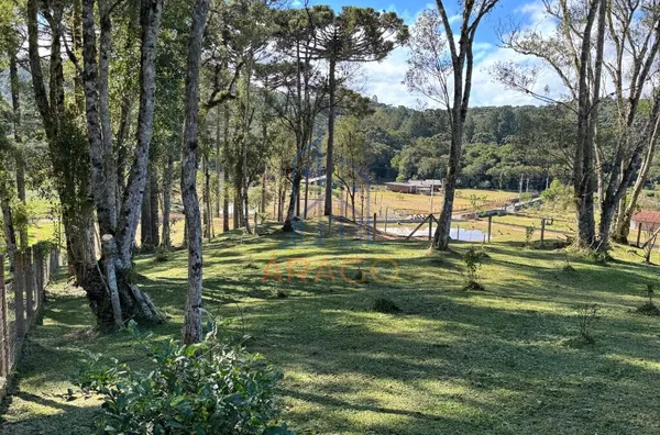 Chácara para venda,  Trigolândia, São Bento Do Sul