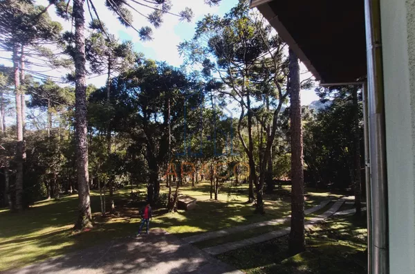 Chácara para venda,  Rio Vermelho, São Bento Do Sul