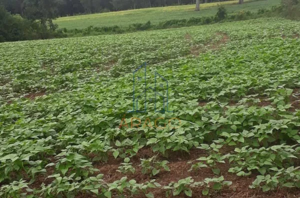 Terreno para venda, 2 quarto(s),  Estrada Nova, Monte Castelo