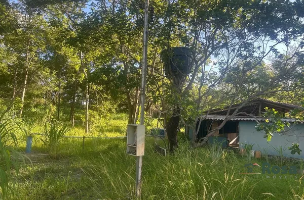 Chácara / sítio para venda,  Sucuri, Cuiabá - Foto 4