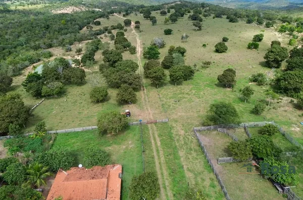 Oportunidade Fazenda para venda,  80 km de Cuiaba, as margens da br 364. Cuiabá MT - Foto 1
