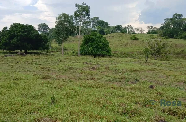CHÁCARA  11.80 HA 7 KM DA CIDADE DE JI - PARANÁ RO - Foto 5