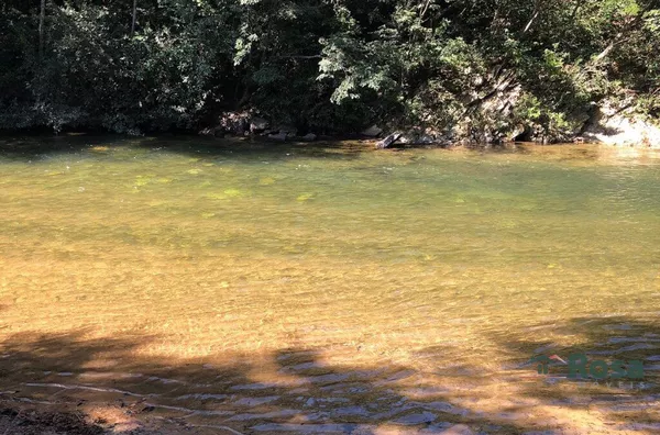 Chácara para venda, Porteira fechada, As margens do Rio  Coxipo Do Ouro, Cuiabá - Foto 5