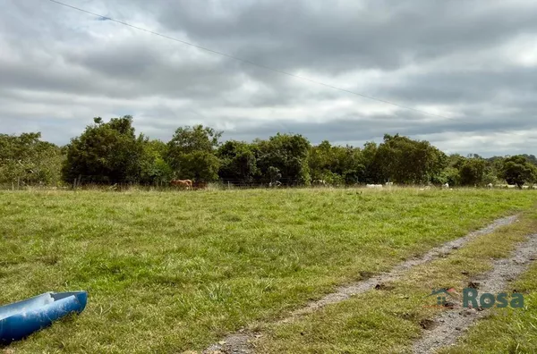 Oportunidade Fazenda para venda,  80 km de Cuiaba, as margens da br 364. Cuiabá MT - Foto 9