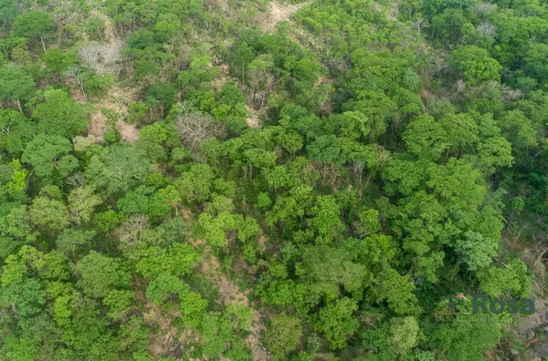 Terrenos ou lotes residenciais para venda,  - Coxipó do Ouro, Cuiabá - Foto 4