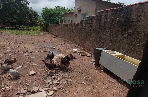 Terreno para venda,  Distrito De Nossa Sra Da Guia, Cuiabá - Foto 5