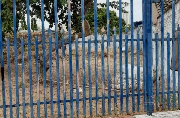 Terreno para venda,  Areão, Cuiabá - Foto 6