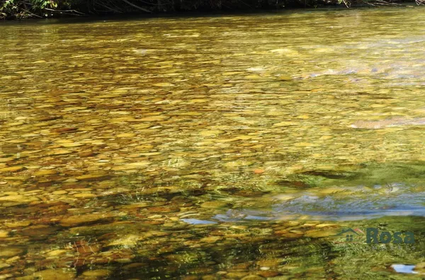 Oportunidade Única: 30 Hectares na MT-251 (Estrada de Chapada) com 600m de Beira do Rio Coxipó! - Foto 3