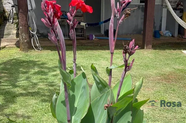 Casa para venda, 2 quartos,  Centro, Chapada Dos Guimarães - Foto 2