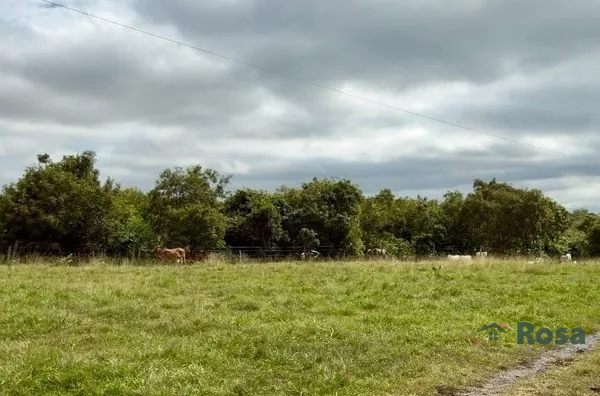 Oportunidade Fazenda para venda,  80 km de Cuiaba, as margens da br 364. Cuiabá MT - Foto 34