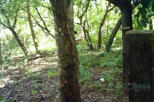 Terreno para venda,  Morada Dos Nobres, Cuiabá - Foto 1