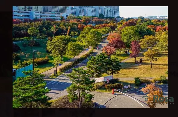 TERRENO COM 250M2 NO GINCO EMPRESARIAL MANHATAN - Foto 4