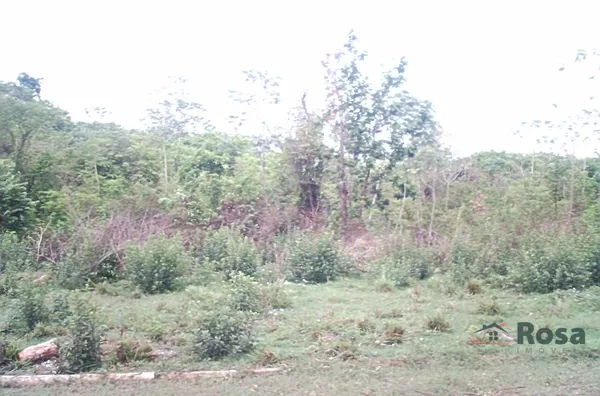 Terrenos ou lotes comerciais para venda,  - Selecione - Bairro, Cuiabá - Foto 2