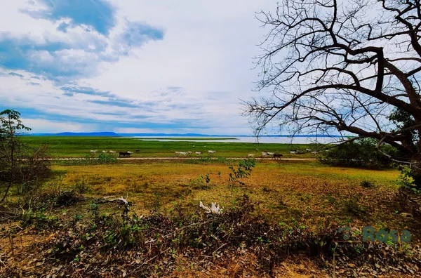 Paraíso no Pantanal: 12 Hectares de Refúgio Pé na Água na Baía de Chacororé - MT - Foto 3