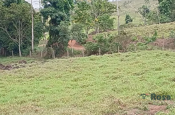 CHÁCARA  11.80 HA 7 KM DA CIDADE DE JI - PARANÁ RO - Foto 4