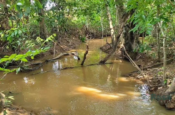 CHÁCARA  11.80 HA 7 KM DA CIDADE DE JI - PARANÁ RO - Foto 2