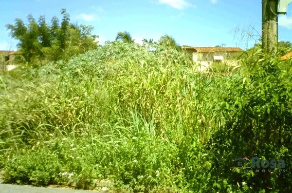 Terreno para venda,  Santa Rosa, Cuiabá - Foto 4