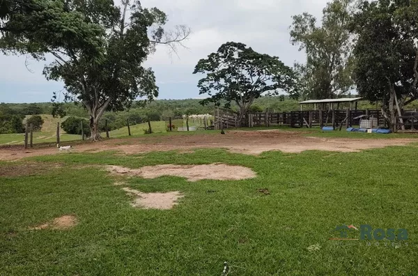 Fazenda para venda, 4 quarto(s), - Selecione - Bairro, Nova Brasilãndia - Foto 15