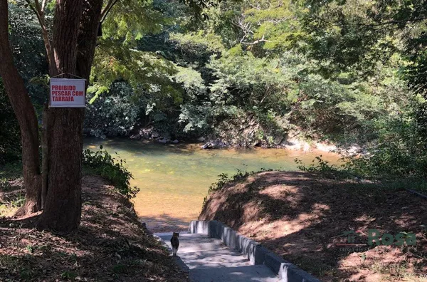 Chácara para venda, Porteira fechada, As margens do Rio  Coxipo Do Ouro, Cuiabá - Foto 4