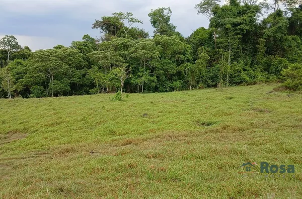 CHÁCARA  11.80 HA 7 KM DA CIDADE DE JI - PARANÁ RO - Foto 6