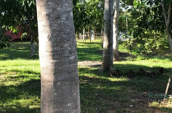 Chácara para venda,  -  Cuiabá - Foto 5