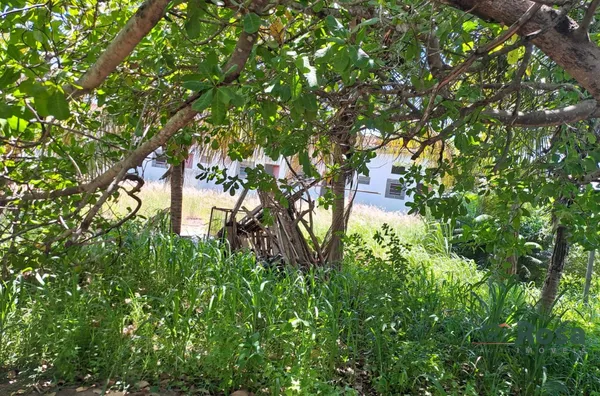 Casa para venda,  Santa Izabel, Cuiaba - Foto 5