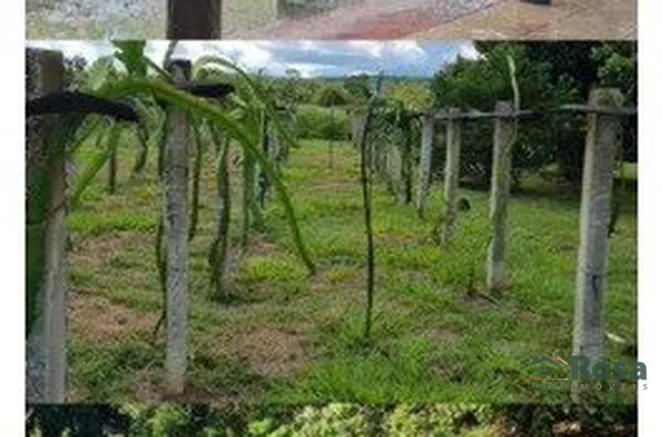 Chácara / sítio para venda, - Selecione - Bairro, Cuiabá - Foto 1