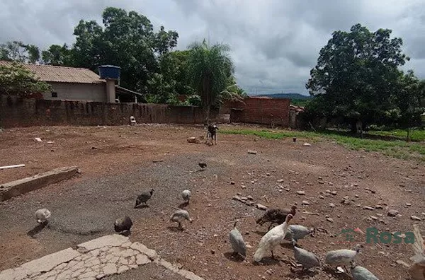 Terreno para venda,  Distrito De Nossa Sra Da Guia, Cuiabá - Foto 6