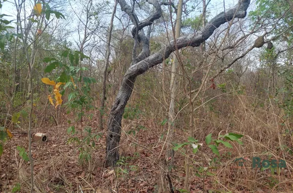 Terreno para venda, Distrito da Guia, Cuiabá - Foto 3