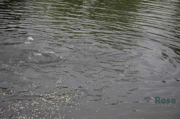 Terreno para venda ZONA RURAL SANTO ANTÔNIO DO LEVERGER - Foto 6