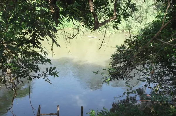 CHACARA URBANA para venda SANTA IZABEL Cuiabá - Foto 6