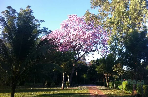 IMAGENS