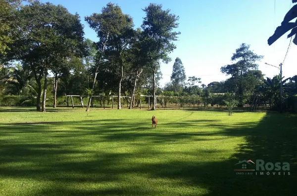 IMAGENS