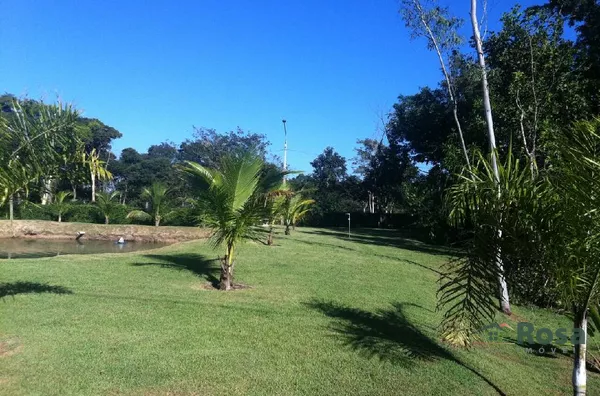 IMAGENS