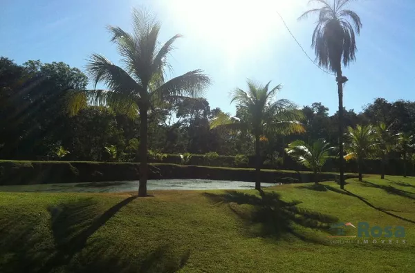 IMAGENS