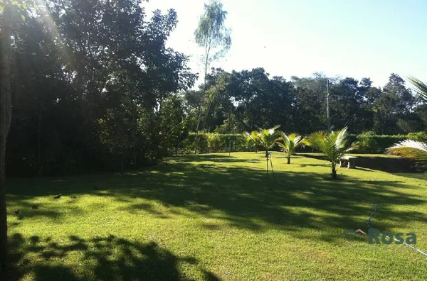 IMAGENS