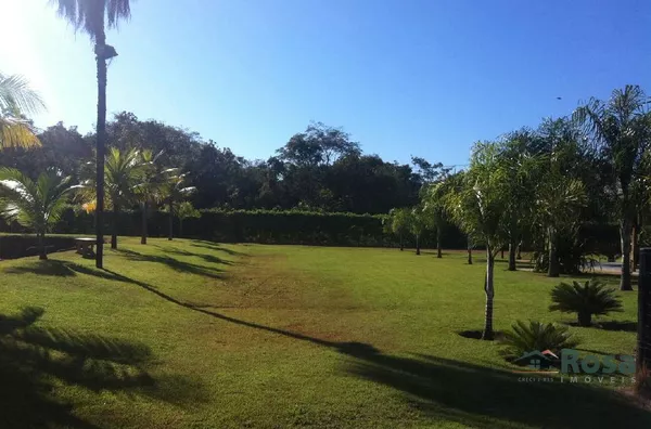 IMAGENS