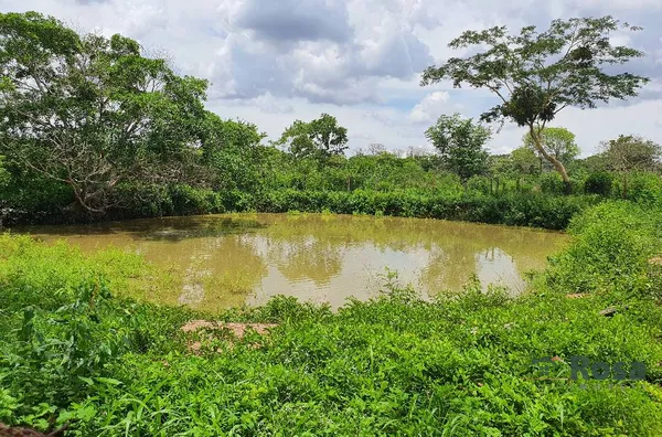 CHÁCARA / SITIO para venda BOM SUCESSO VÁRZEA GRANDE