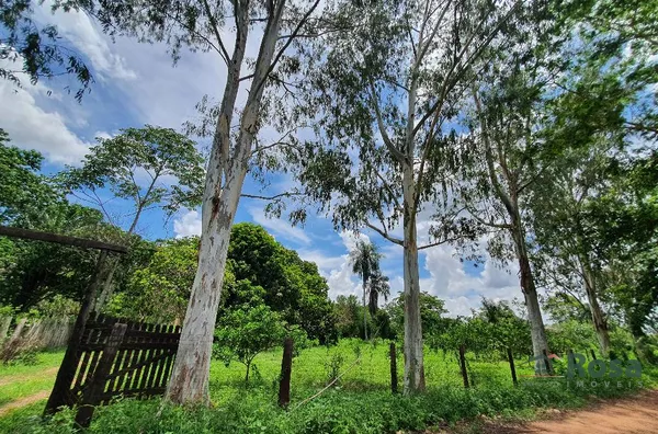 CHÁCARA / SITIO para venda BOM SUCESSO VÁRZEA GRANDE