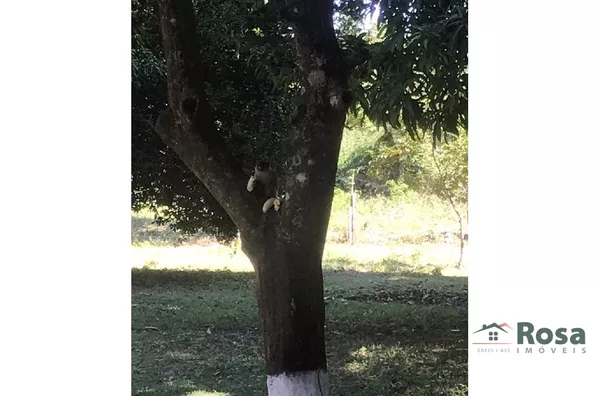 CHÁCARA / SITIO para venda 23 DE SETEMBRO VÁRZEA GRANDE - Foto 2