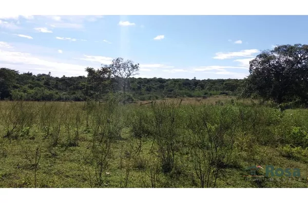 CHÁCARA / SITIO para venda DISTRITO DE NOSSA SRA DA GUIA Cuiabá - Foto 67