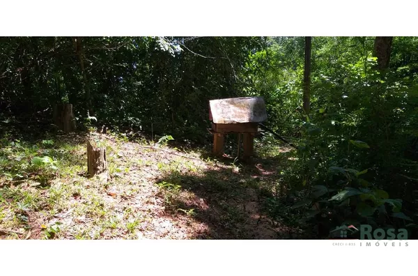 CHÁCARA / SITIO para venda COXIPO DO OURO Cuiabá - Foto 3
